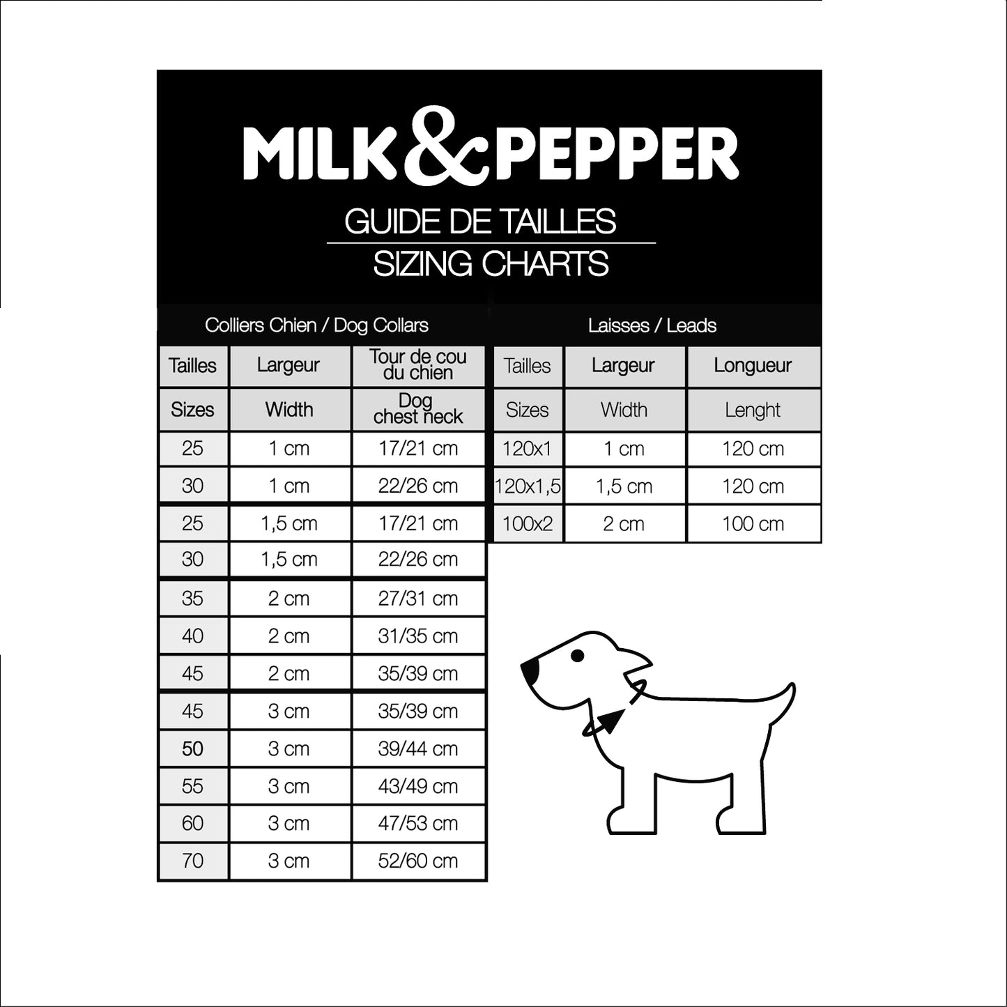 Collier cuir POGONA pour chien – Milk & Pepper
