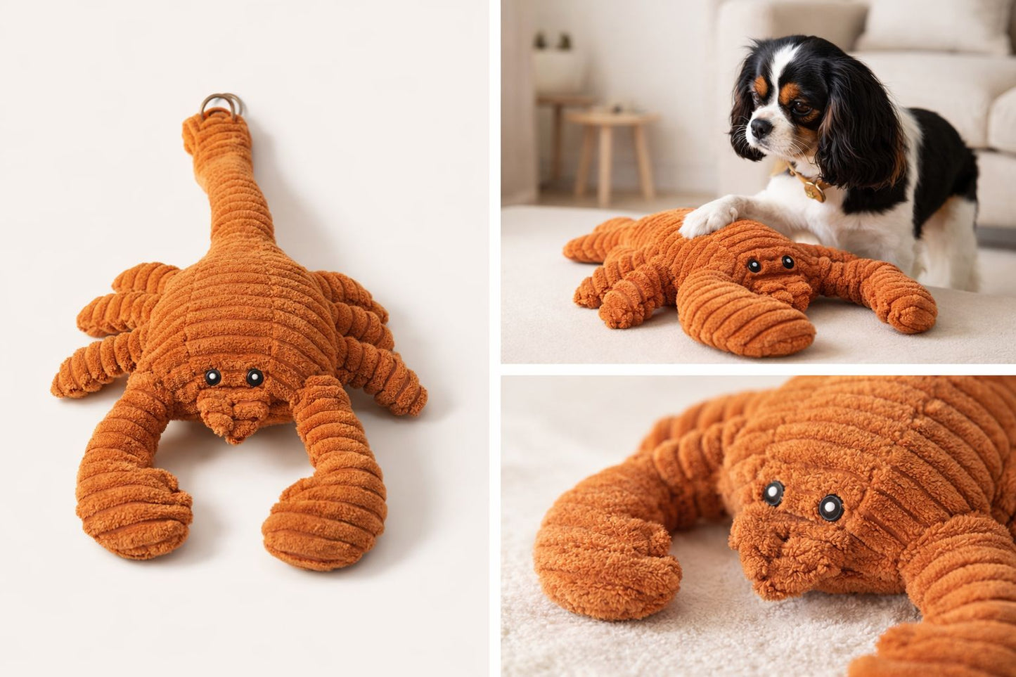 Peluche HOMARD XXL en velours côtelé pour chien – Vadigran