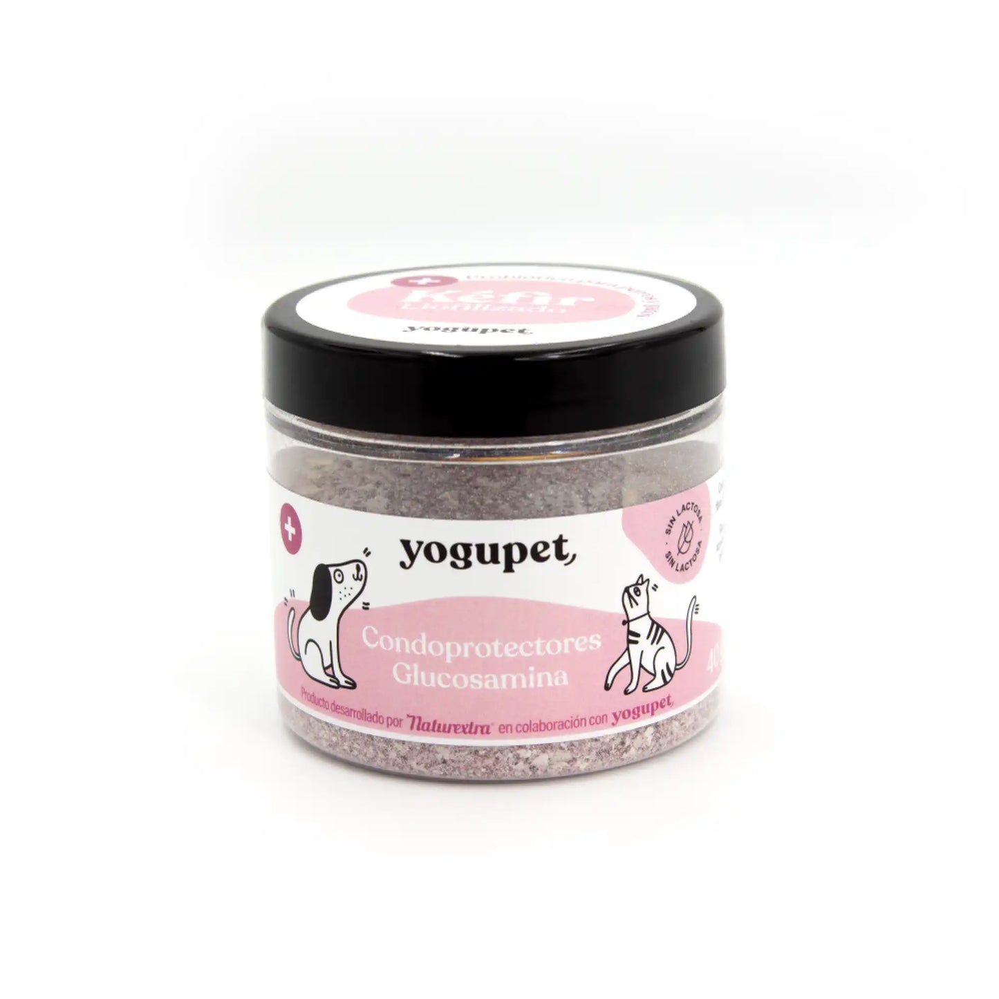 Kéfir lyophilisé chondroprotecteur pour chien – Yogupet