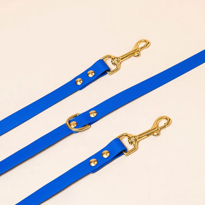 Laisse Biothane multiposition 260 cm pour chien – Fidèle Paris