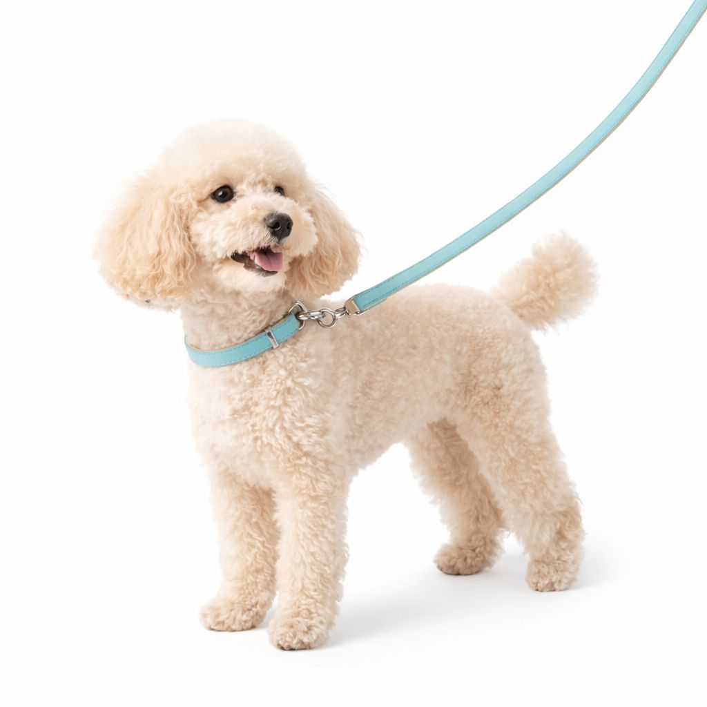 Laisse en cuir FIRENZE 120 cm pour chien – Das Lederband