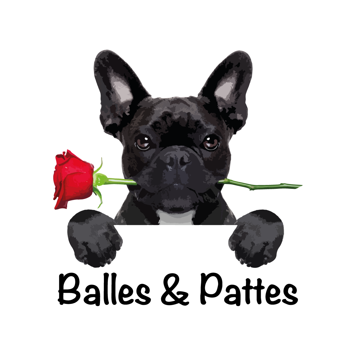 BALLES&PATTES PETSHOP
