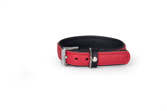 Collier en cuir VANCOUVER – cuir allemand premium pour chien – Das Lederband