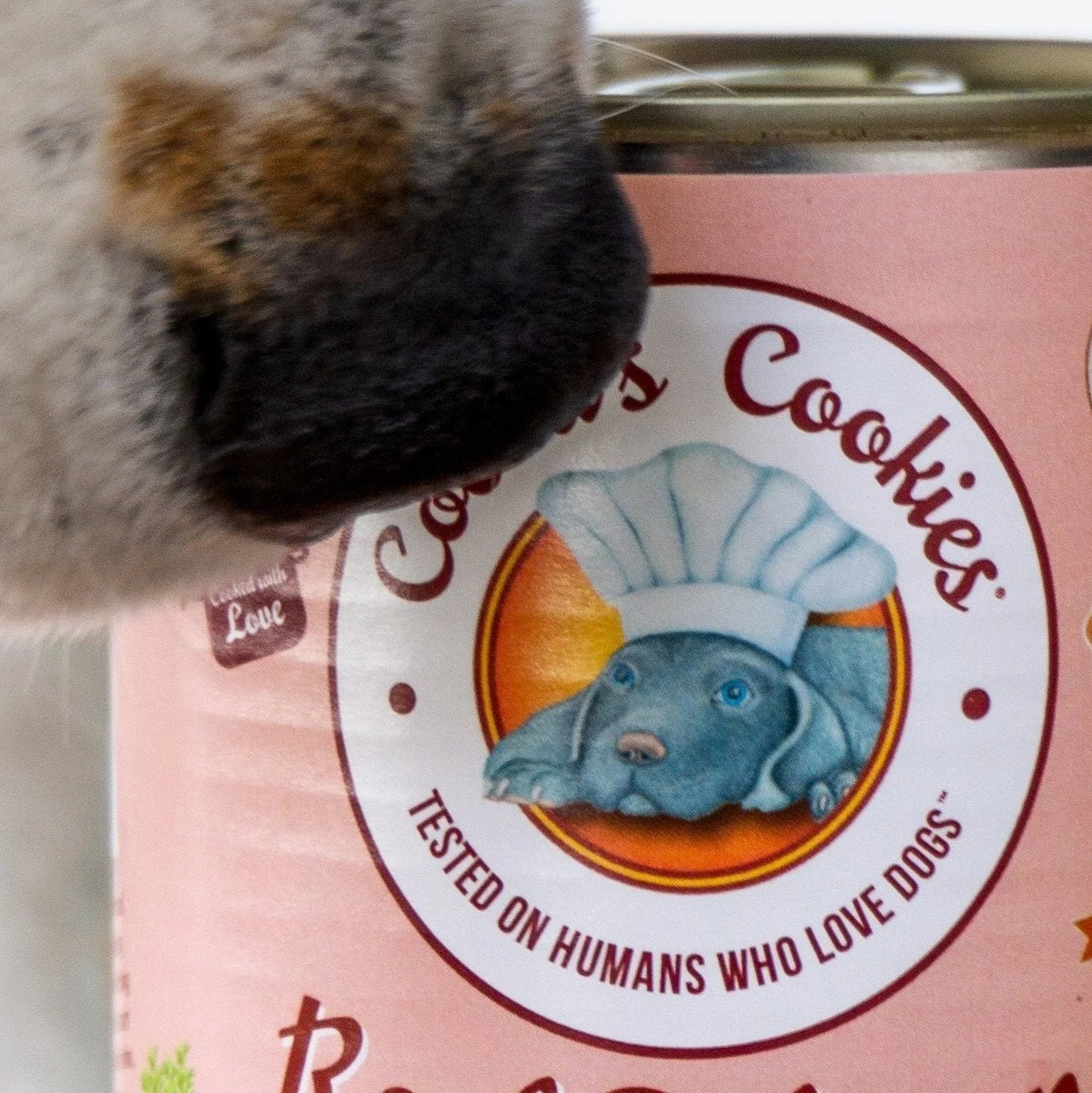 Pâtée au Saumon, Carottes & Épinards Cooka's Cookies – 100 % Naturelle & Sans Céréales pour Chien