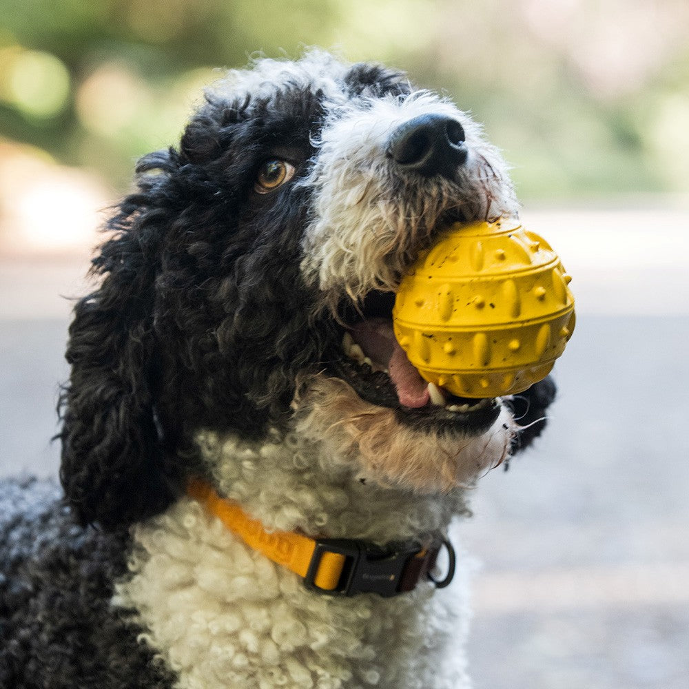 Balle Snack – Jouet distributeur de friandises pour chien