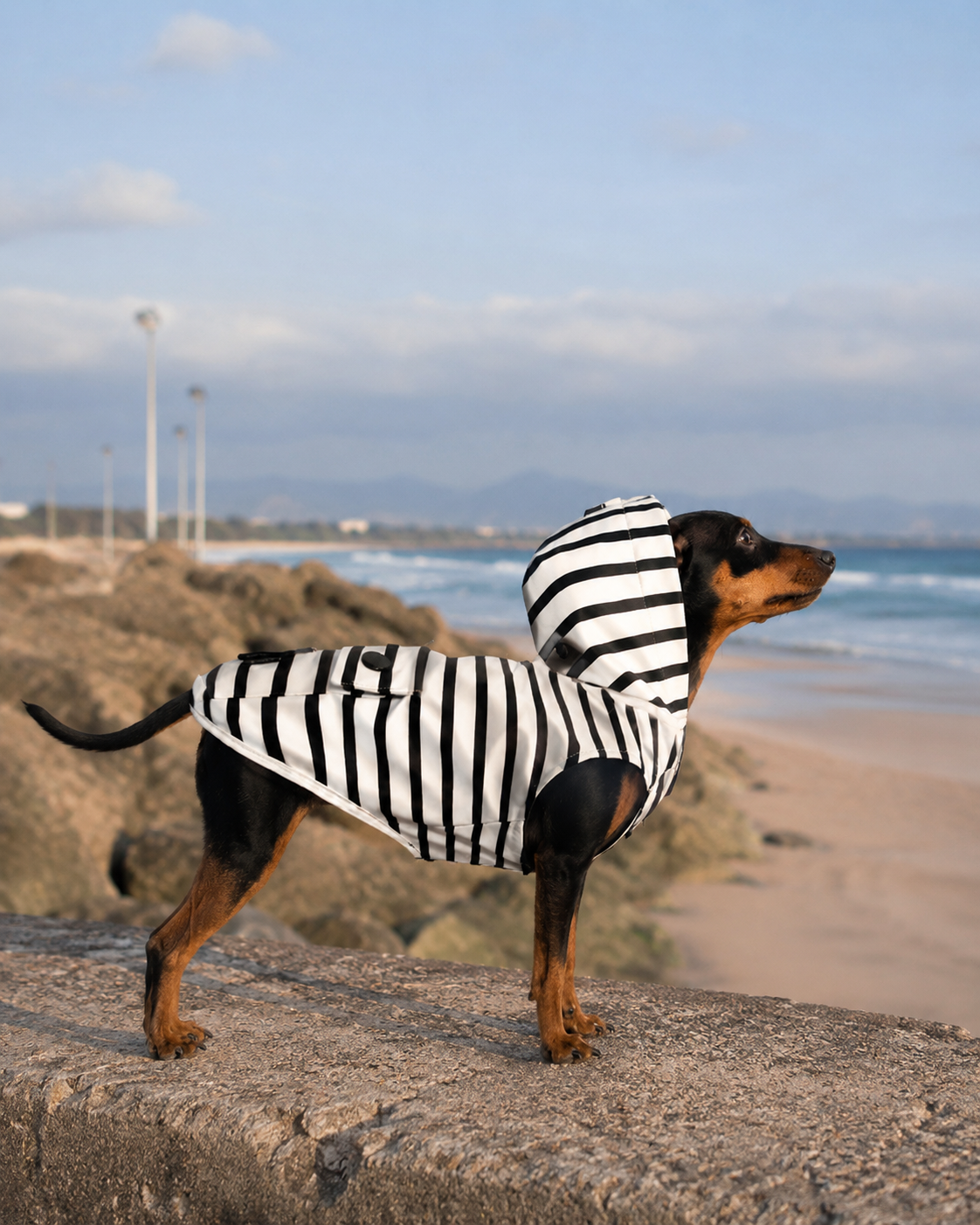 Imperméable ciré BABORD pour chien – Milk & Pepper