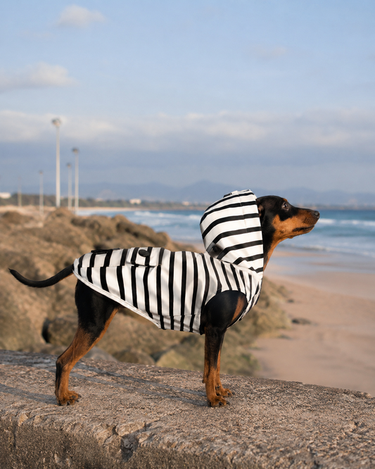 Imperméable ciré BABORD pour chien – Milk & Pepper