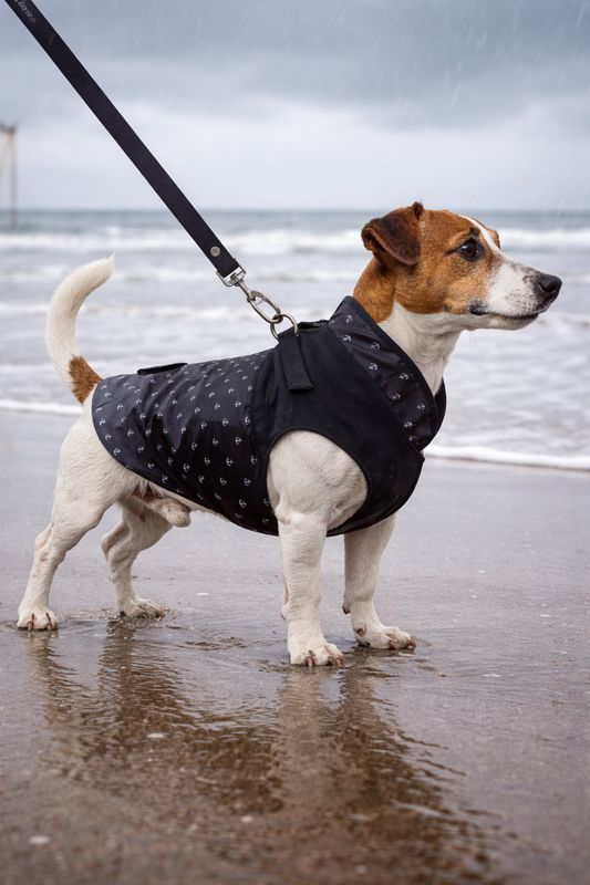 Imperméable IVONIG avec harnais intégré pour chien – Milk & Pepper
