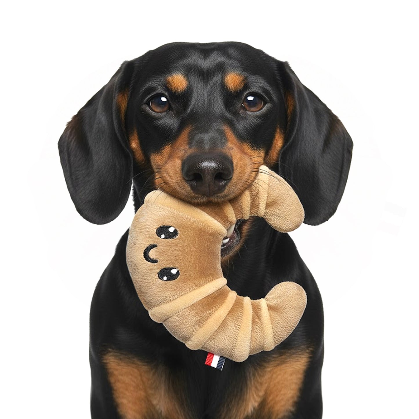 Jouet croissant de fouille FLORENTIN pour chien – Milk & Pepper