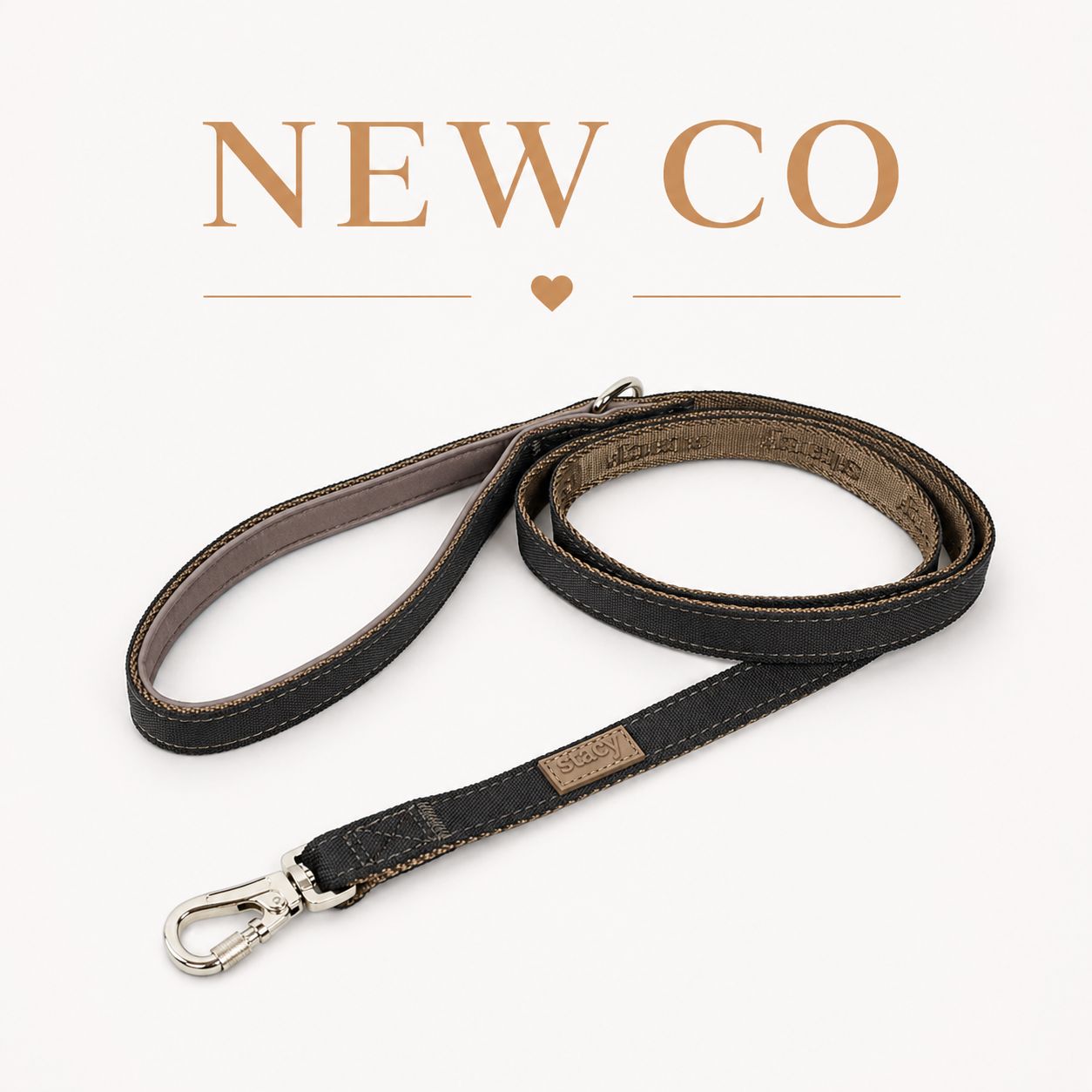 Laisse ACTIVE ELMA pour chien | Staey