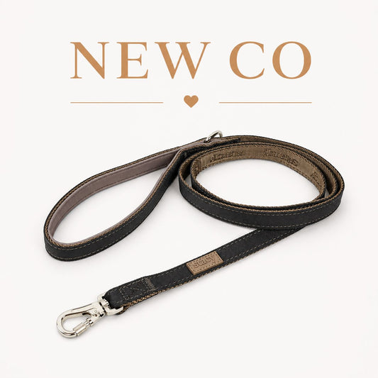 Laisse ACTIVE ELMA pour chien | Staey
