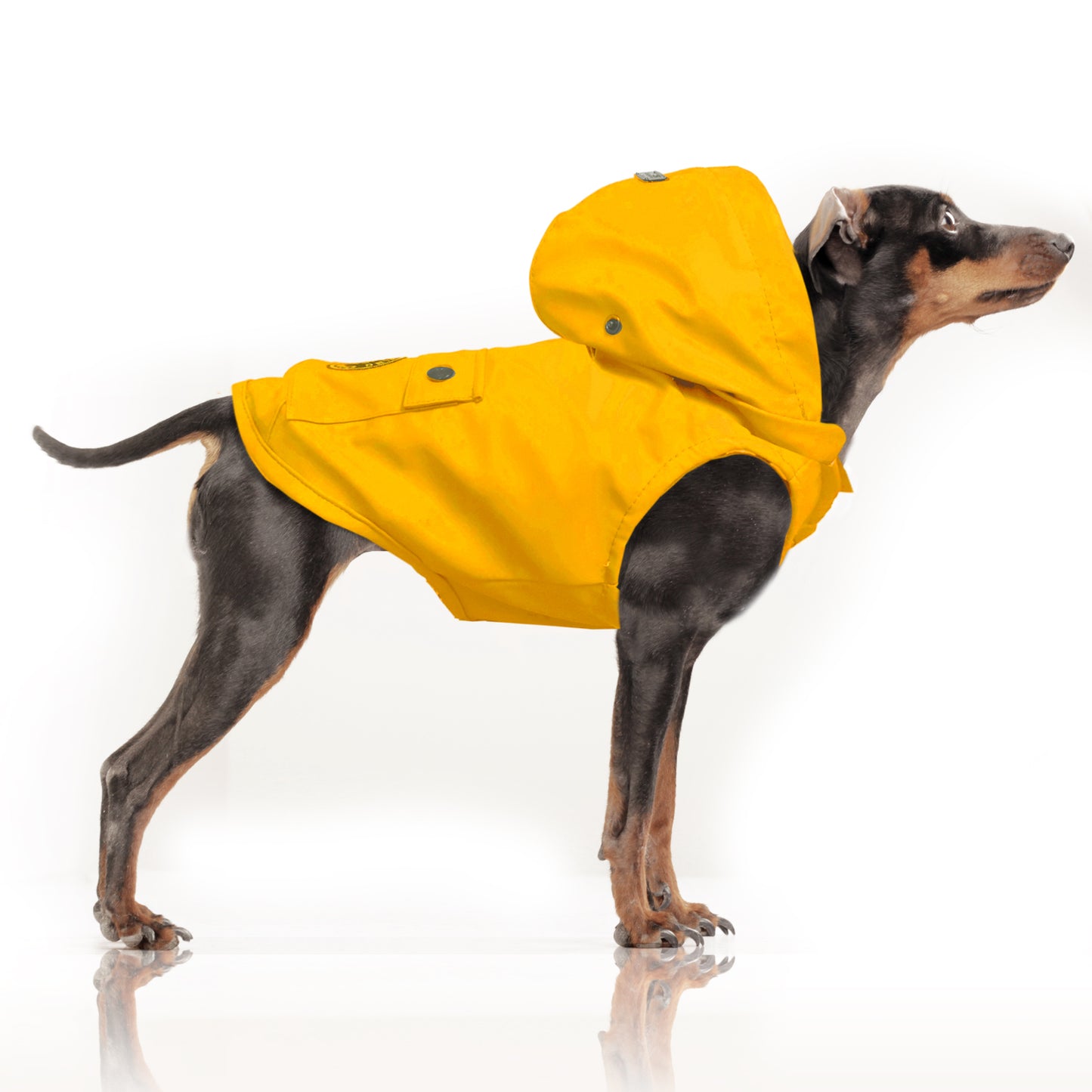 Imperméable ciré BABORD pour chien – Milk & Pepper