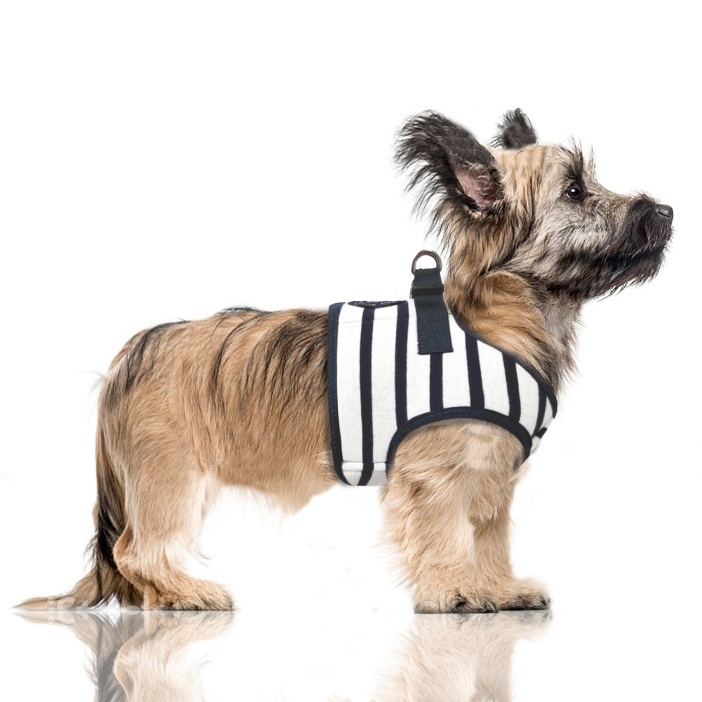 Harnais veste LOAN pour chien – Milk & Pepper