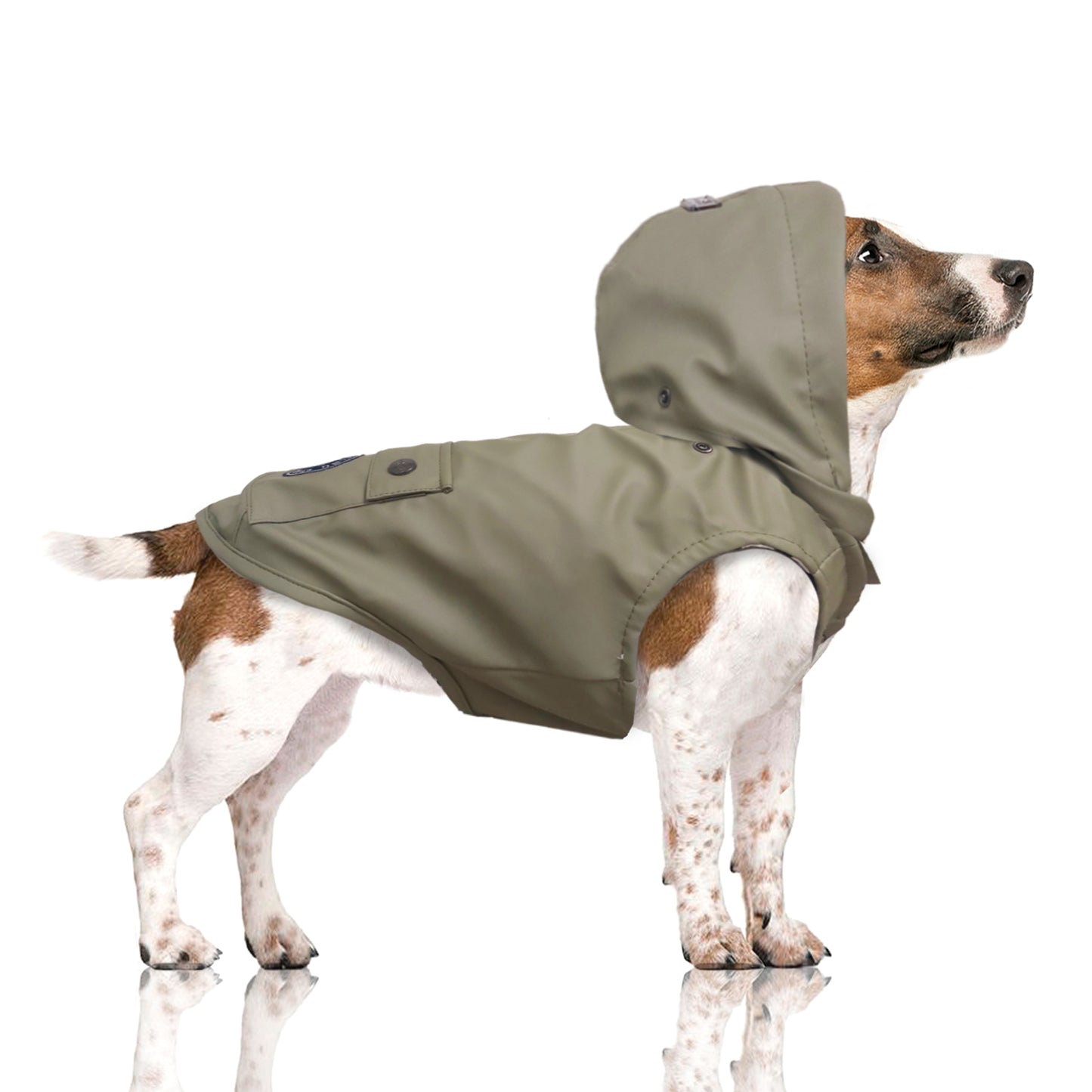 Imperméable ciré BABORD pour chien – Milk & Pepper