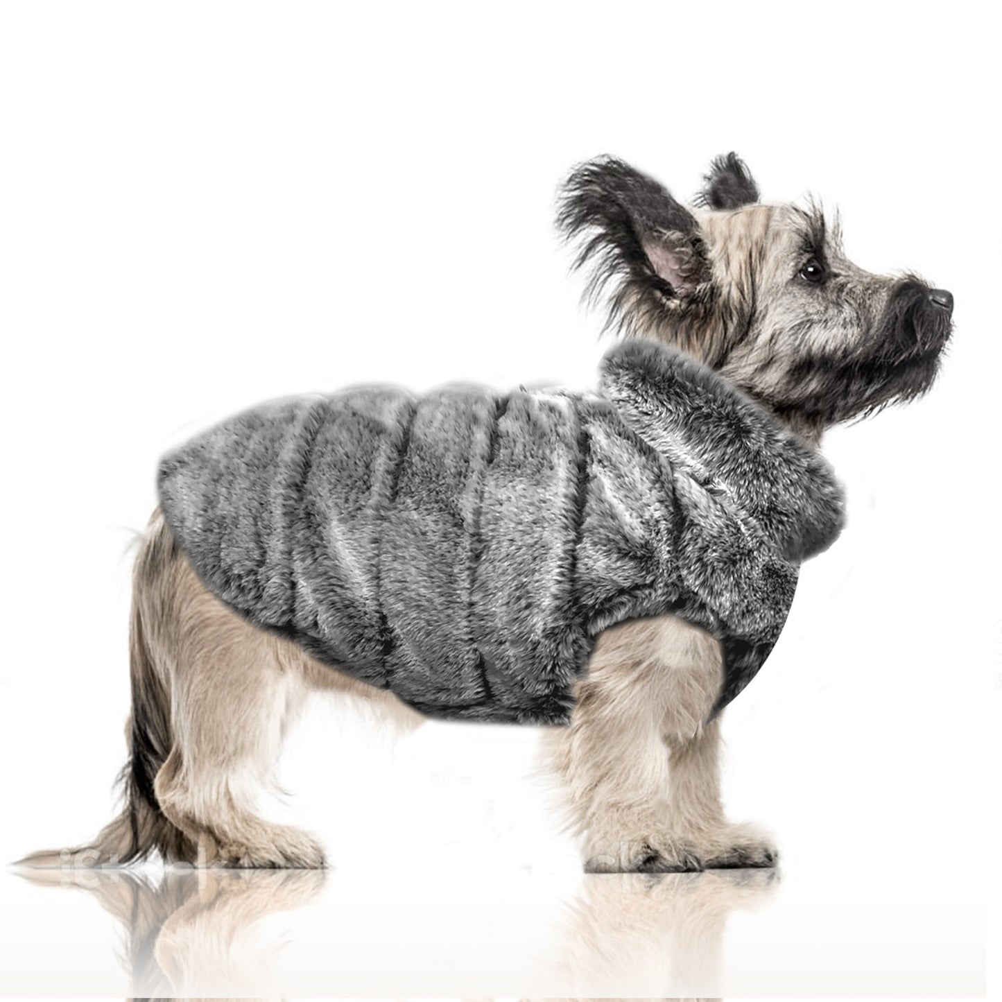 Manteau GARETH imperméable et réversible pour chien – Milk & Pepper