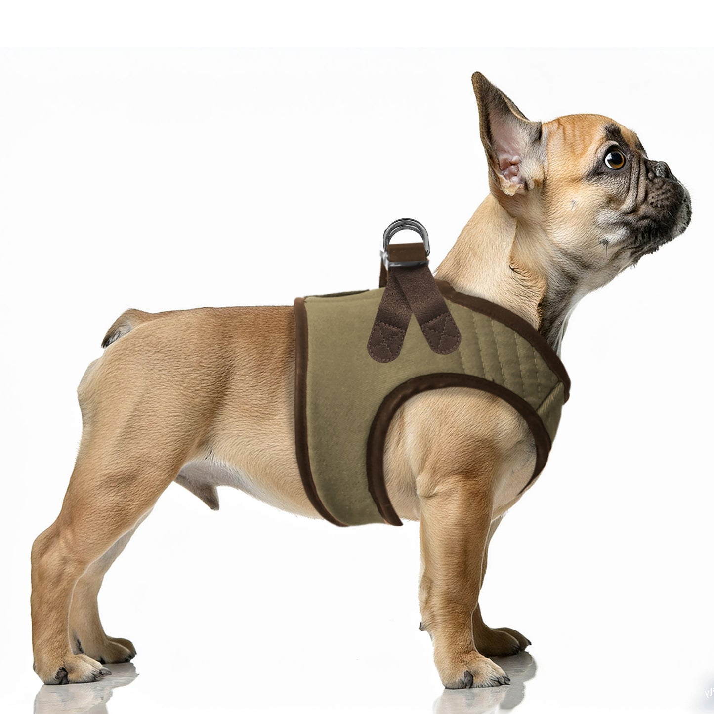 Harnais Veste DAKU pour chien – Milk & Pepper