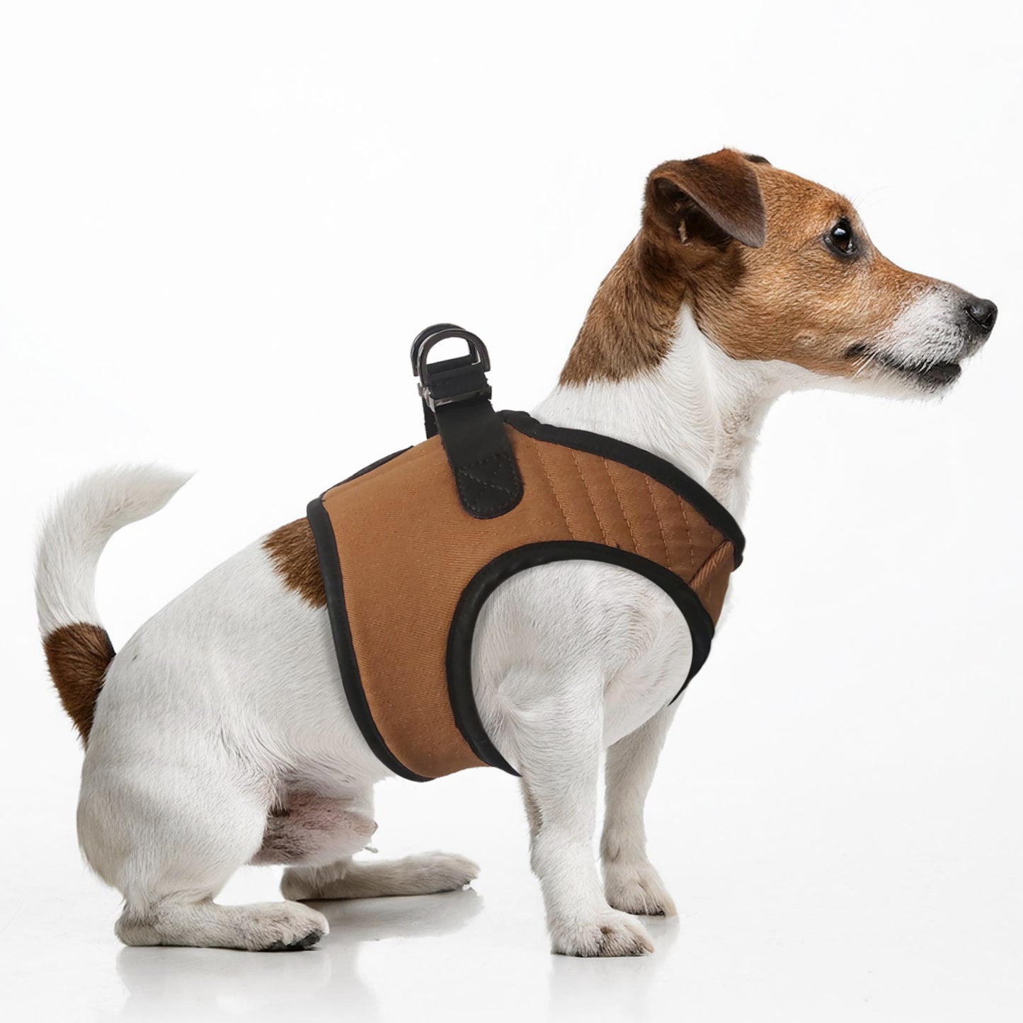 Harnais Veste DAKU pour chien – Milk & Pepper