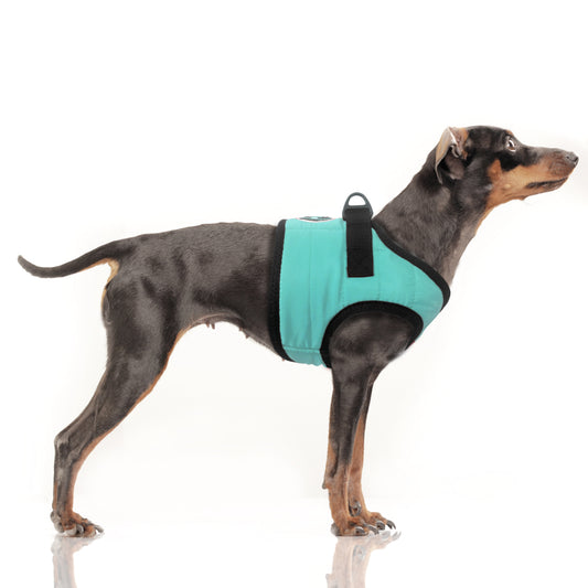 Harnais Veste MUSHER pour chien – Milk & Pepper
