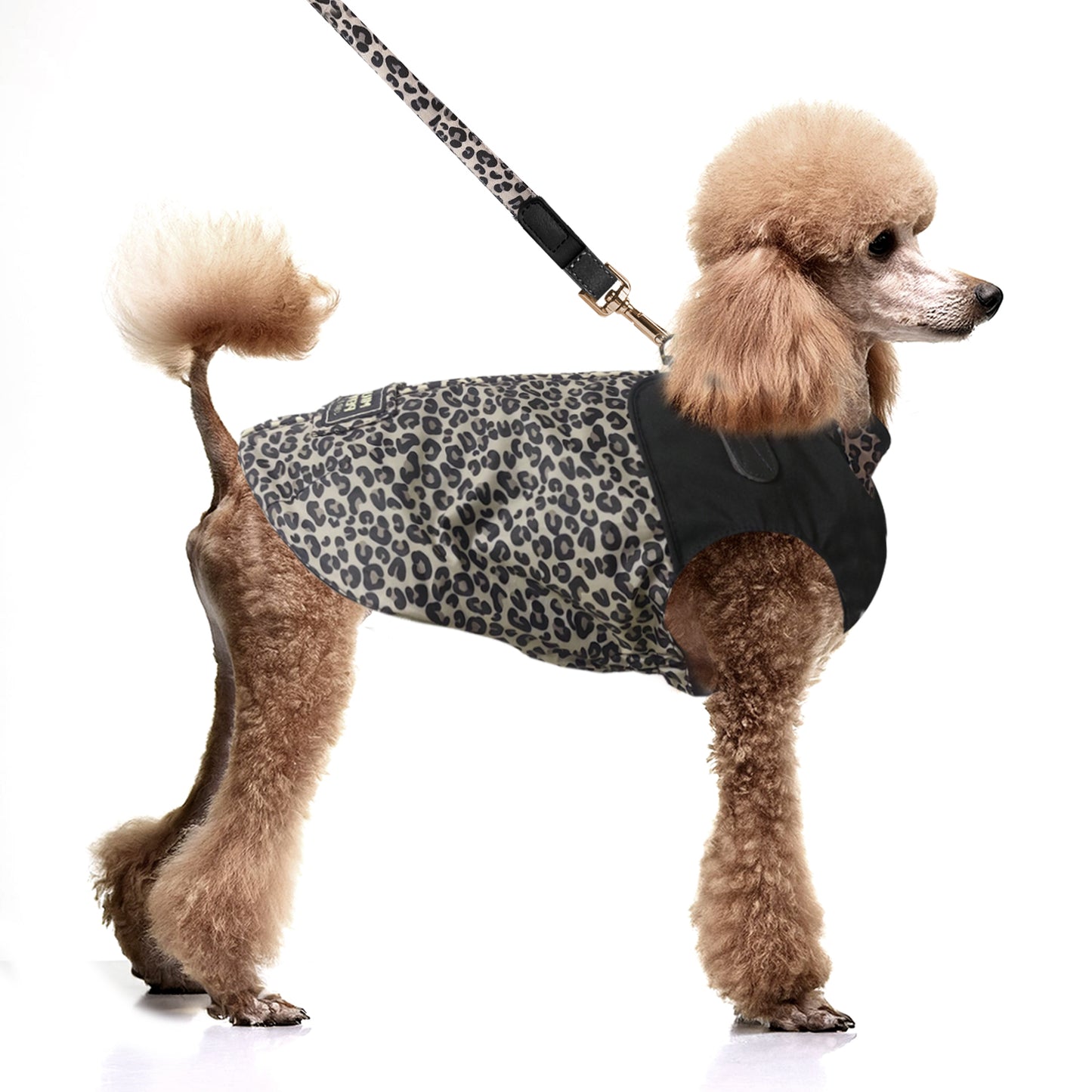 Imperméable HAWA avec harnais intégré pour chien – Milk & Pepper