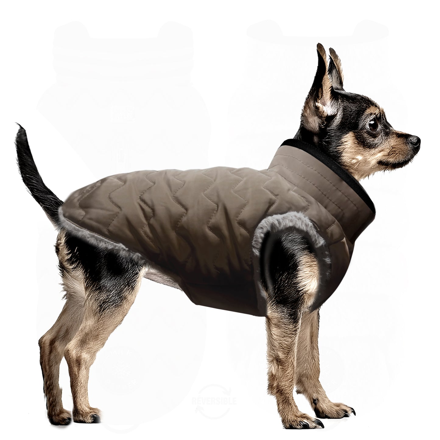 Manteau LEOPOLD imperméable et réversible pour chien – Milk & Pepper