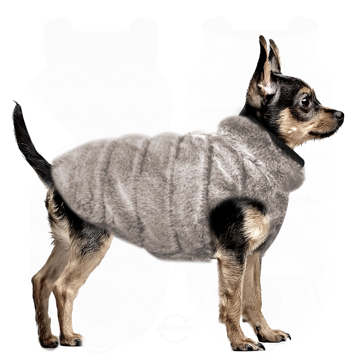 Manteau LEOPOLD imperméable et réversible pour chien – Milk & Pepper