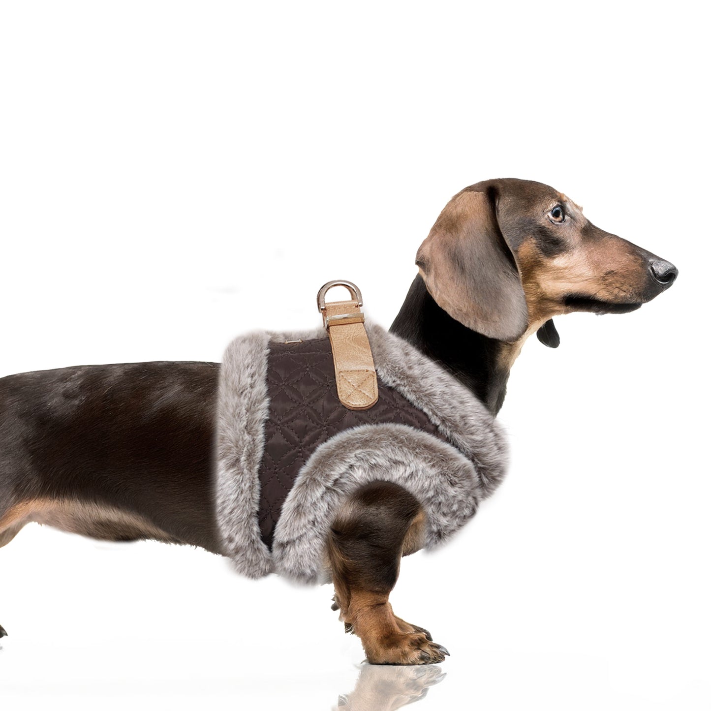 Harnais Veste MERYL pour chien – Milk & Pepper
