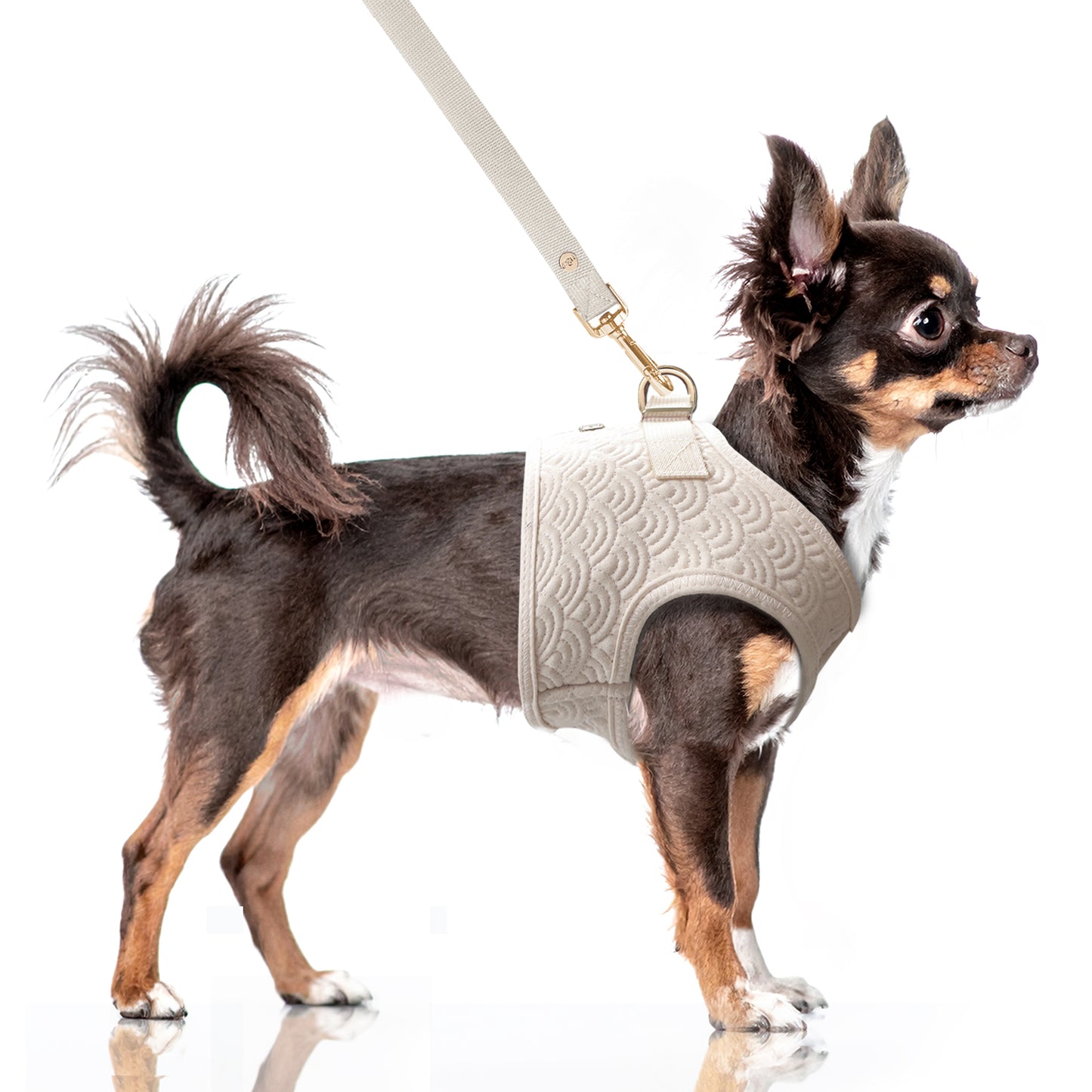 Harnais veste FUJI pour chien – Milk & Pepper