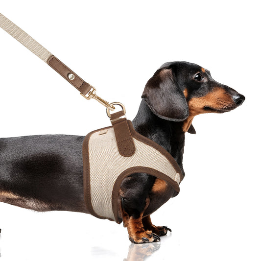 Harnais Veste Java Milk & Pepper en Lin – Élégance & Confort pour Petit Chien
