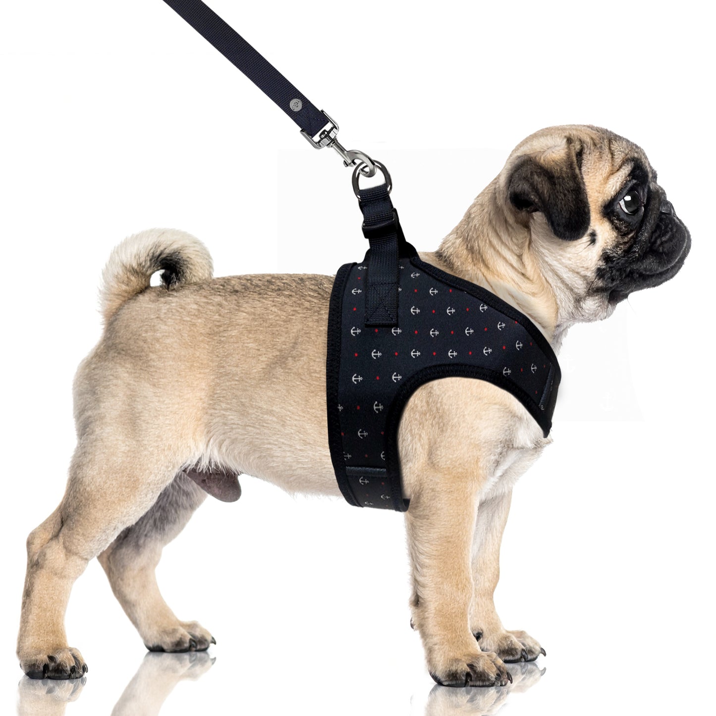 Harnais Crop ZELIG pour chien – Milk & Pepper