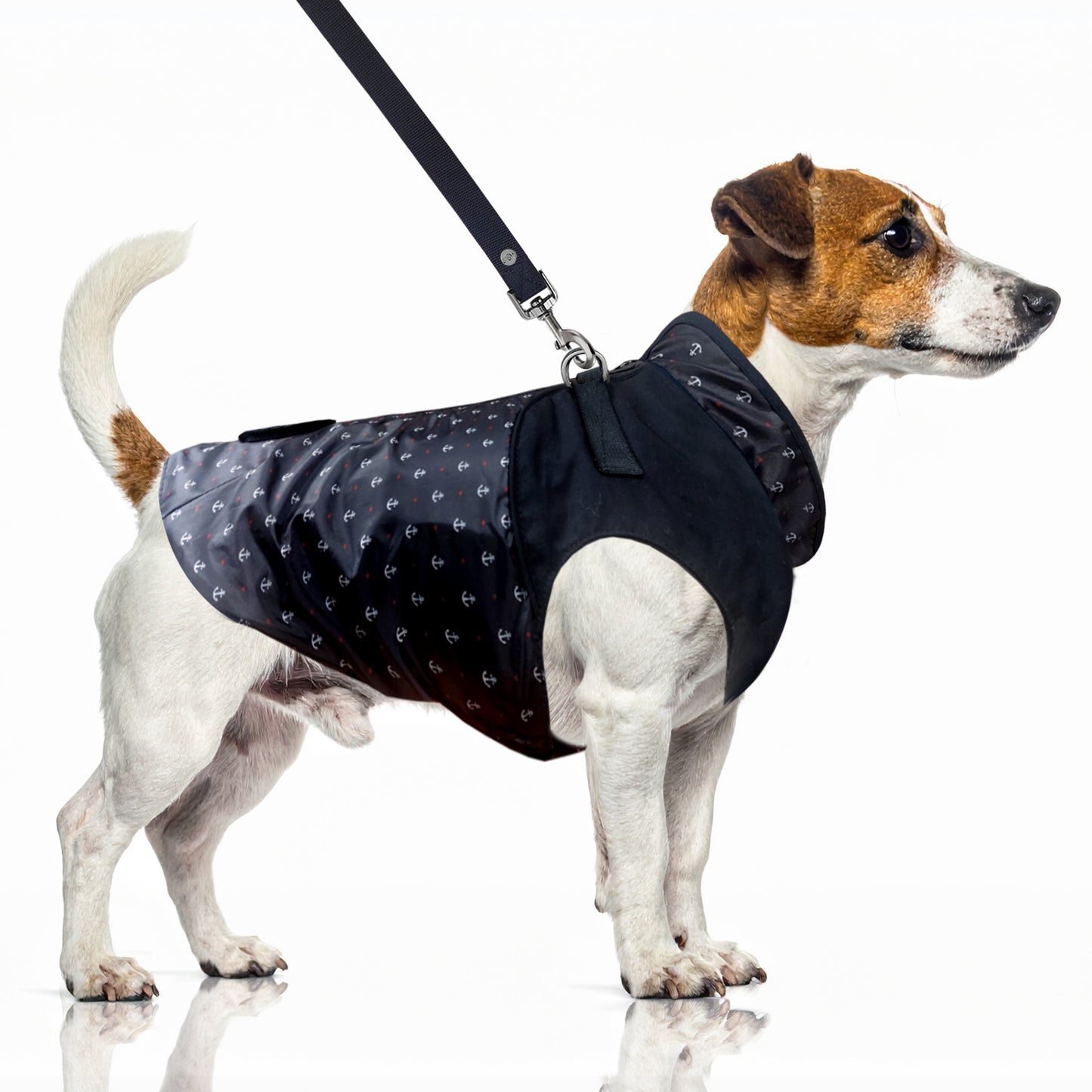 Imperméable IVONIG avec harnais intégré pour chien – Milk & Pepper