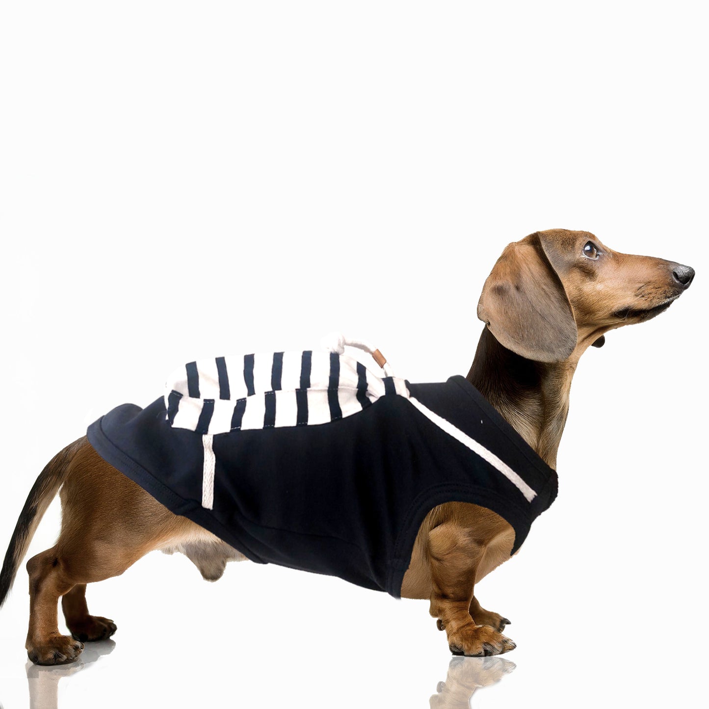 T-shirt YOAN pour chien – Milk & Pepper