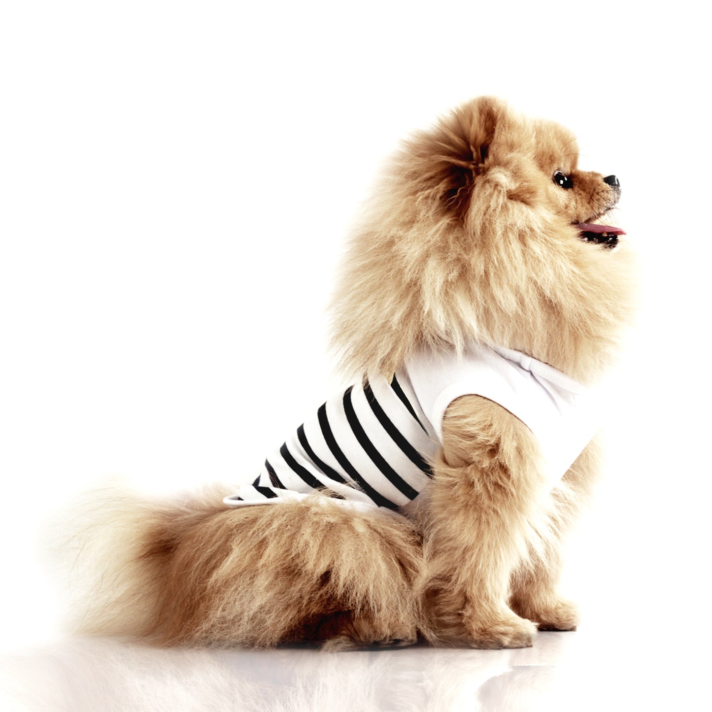 T-shirt SOLENA pour chien – Milk & Pepper