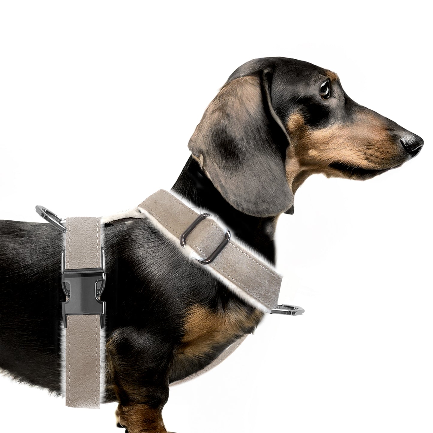Harnais en Y VALDEMAR avec fourrure pour chien – Milk & Pepper