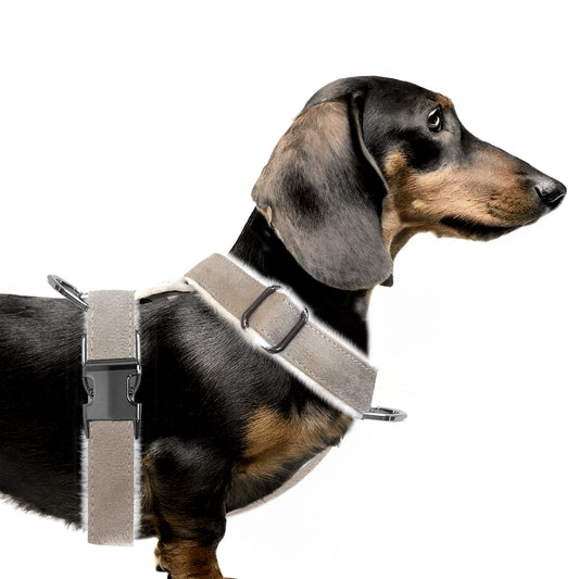 Harnais en Y VALDEMAR avec fourrure pour chien – Milk & Pepper