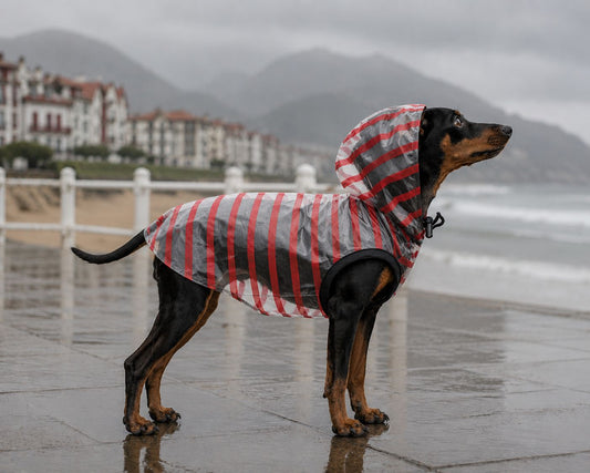 Imperméable ARZEL pour chien – Milk & Pepper
