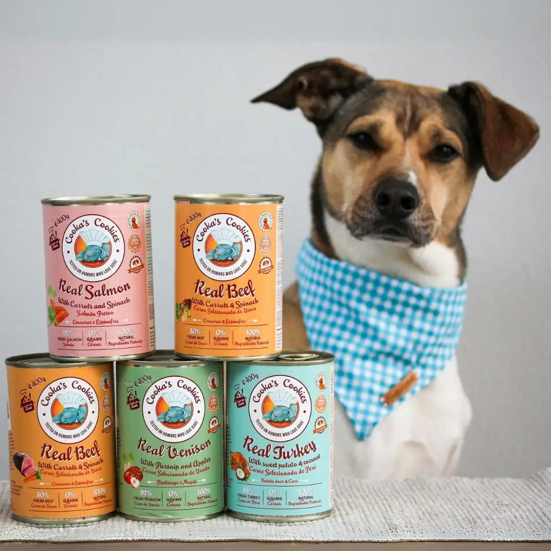 Pâtée au Saumon, Carottes & Épinards Cooka's Cookies – 100 % Naturelle & Sans Céréales pour Chien