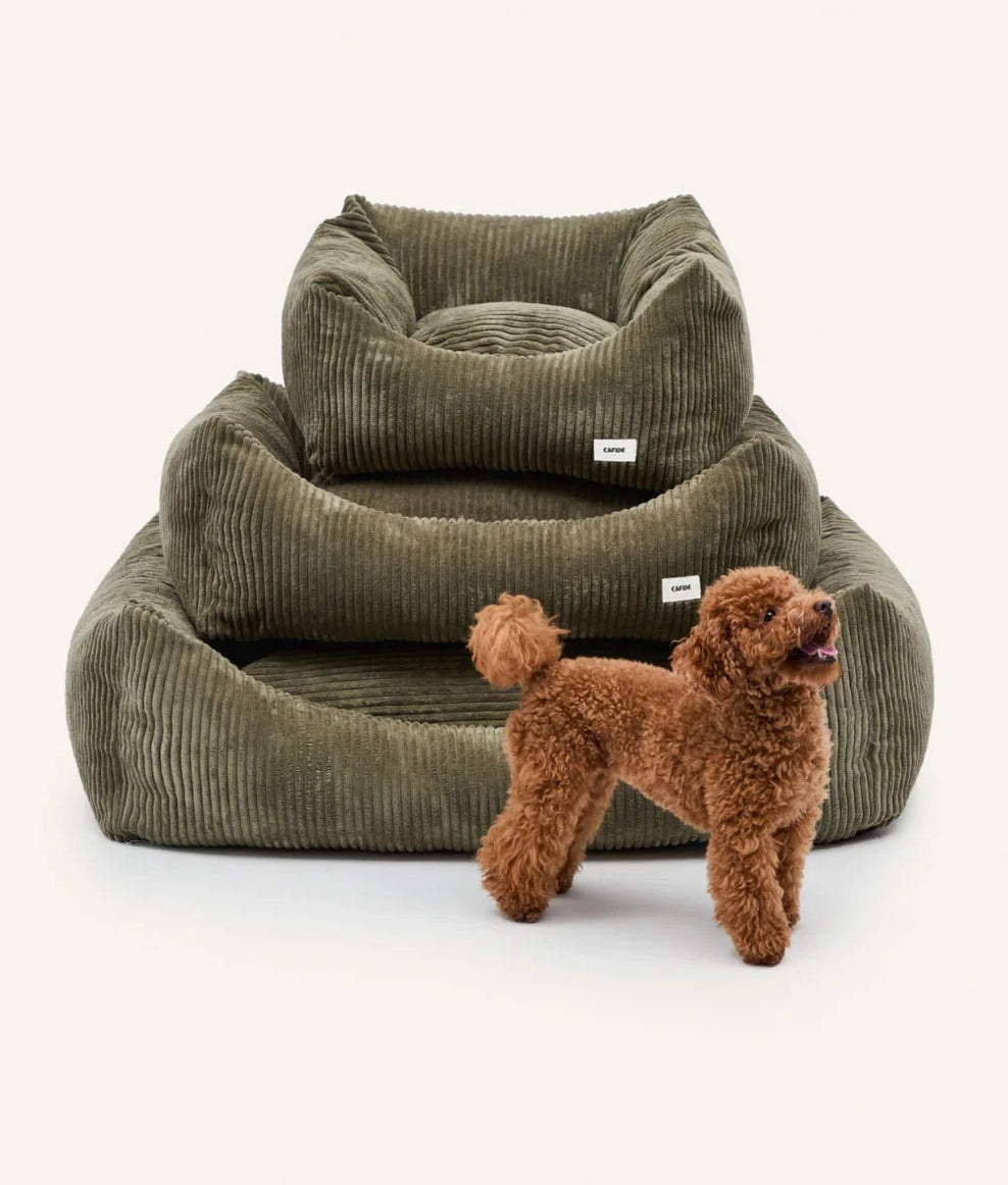 Coussin SNOZY KAKI velours côtelé déhoussable 55 cm pour chien – Cafide