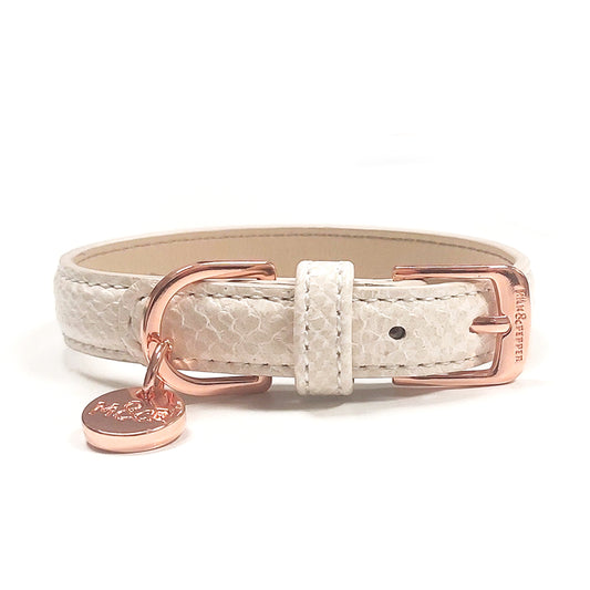 Collier cuir POGONA pour chien – Milk & Pepper