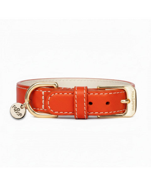 Collier cuir VENDÔME pour chien – Milk & Pepper