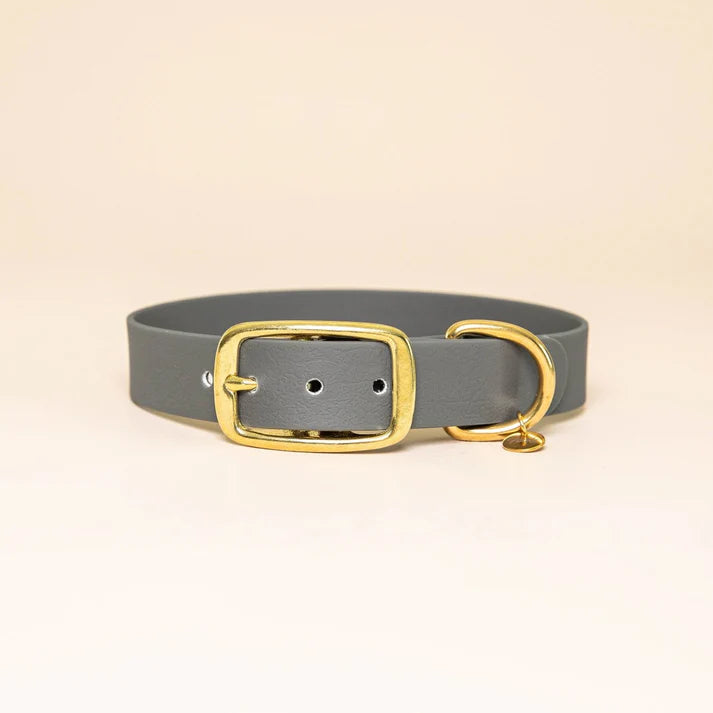 Collier en Biothane pour chien – Fidèle Paris
