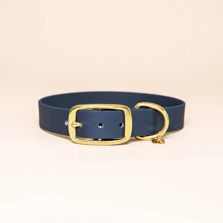 Collier en Biothane pour chien – Fidèle Paris
