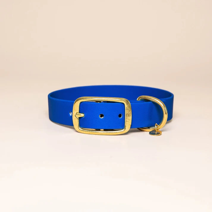 Collier en Biothane pour chien – Fidèle Paris