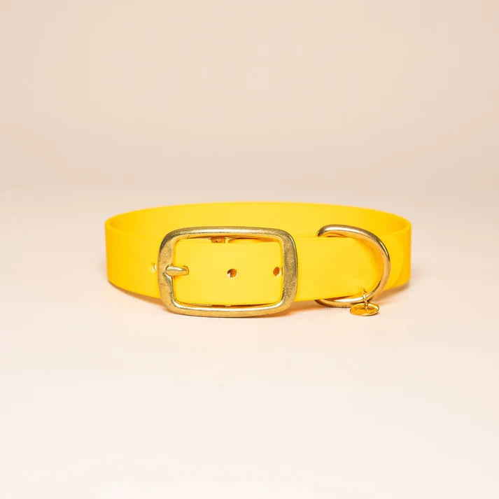 Collier en Biothane pour chien – Fidèle Paris