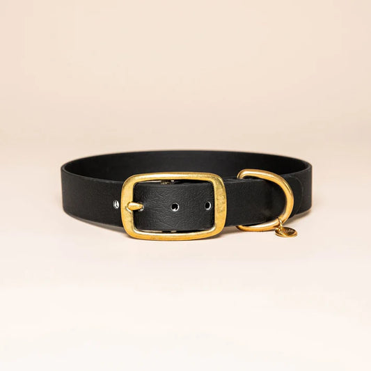 Collier en Biothane pour chien – Fidèle Paris