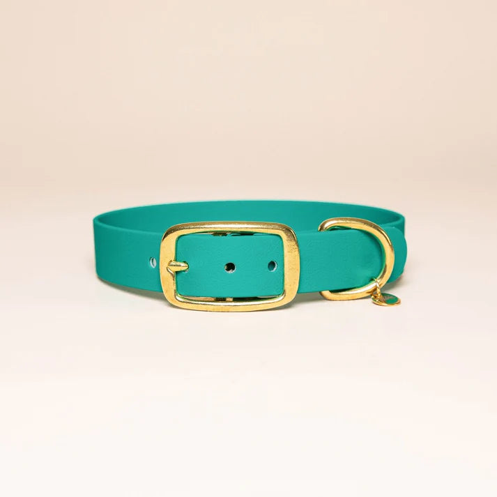 Collier en Biothane pour chien – Fidèle Paris