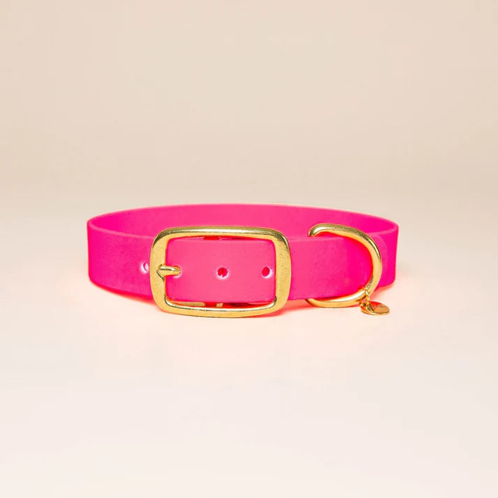 Collier en Biothane pour chien – Fidèle Paris