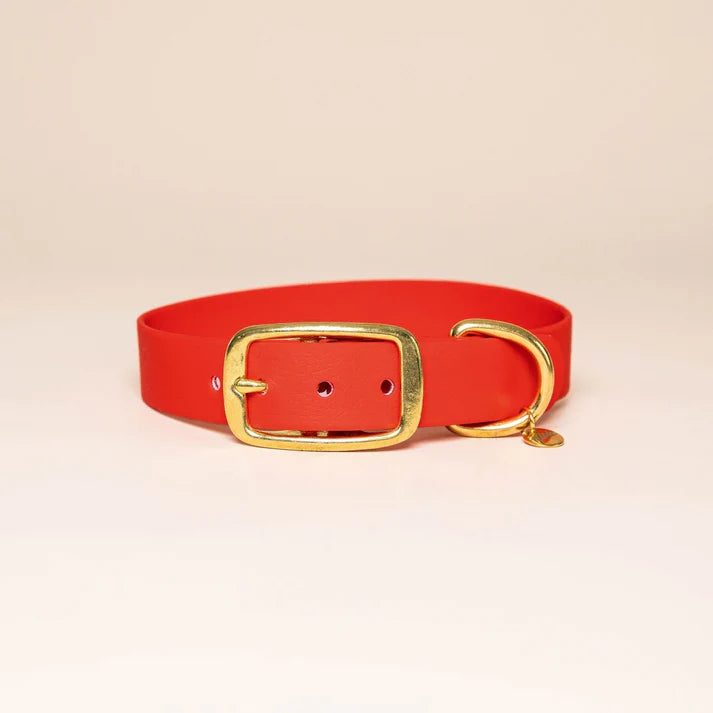 Collier en Biothane pour chien – Fidèle Paris