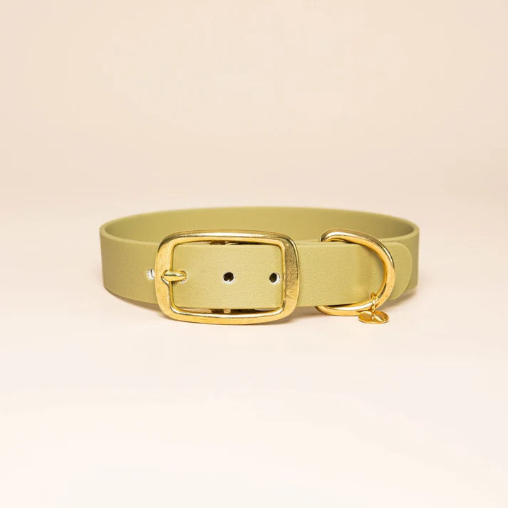 Collier en Biothane pour chien – Fidèle Paris