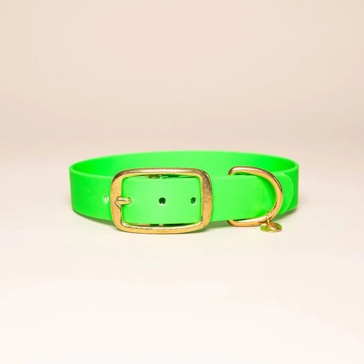 Collier en Biothane pour chien – Fidèle Paris