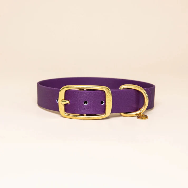 Collier en Biothane pour chien – Fidèle Paris